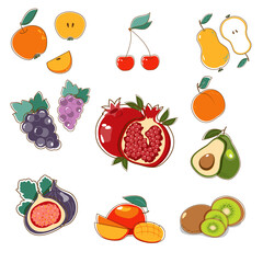 Vector illustration set of fruit. The collection fruit in flat style. 