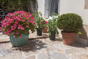 Fototapeta na wymiar Flowered terrace with garden furniture