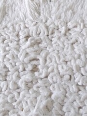 Squiggly Wool
