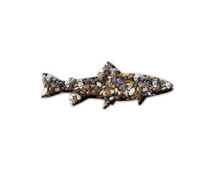 fish animal Stones Icon Logo Symbol illustration