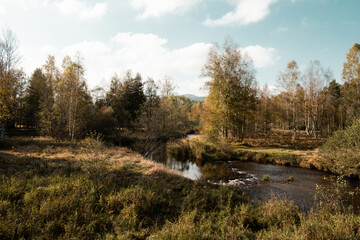 Fototapeta na wymiar River in the valley at Stozec, Sumava mountains, Czech republic