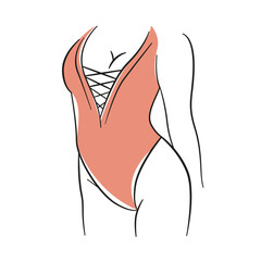 Woman model in red bodysuit vector abstract illustration. Female underwear fashion sketch