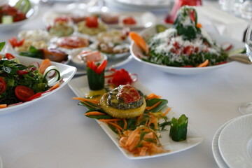 Vegan feed with different herbs and tomato salad.