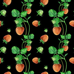 Watercolor seamless strawberry pattern. Strawberry garden, botanical illustration, pattern of bushes and berries. - 484745999