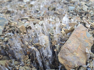 Stones on the ice