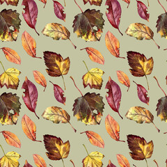 Autumn leaves in watercolor, seamless pattern for printing on fabric or paper. - 484746159