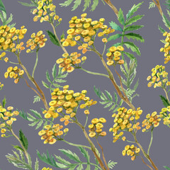 Yellow wildflowers handmade drawing. Watercolor seamless pattern with summer flowers. - 484746162