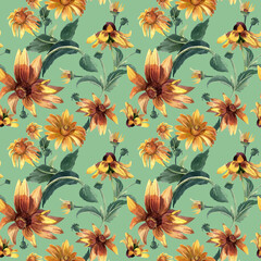 Watercolor seamless pattern with summer flowers. Large rudbeckia flowers, elegant pattern. - 484746166