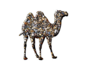 Camel dromedary Stones Icon Logo Symbol illustration
