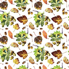 Acorns on an autumn oak branch, autumn leaves, seamless watercolor pattern. - 484746378