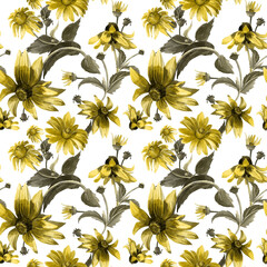 Watercolor seamless pattern with summer flowers. Large rudbeckia flowers, elegant pattern. - 484746380