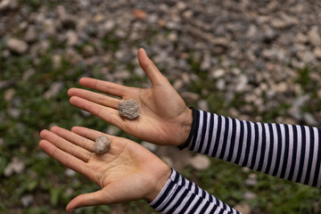 Outstretched palms of woman's hands showing two gray stones. Concept geology, balance