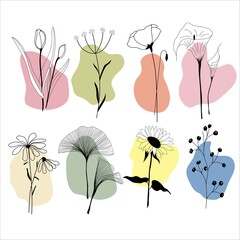 Line art set of various flowers with multicolored abstract spots, various flowers vector illustration. Beautiful, abstract, minimalist floral illustration isolated on white background.