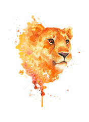 Watercolor drawing of a lion with a bright orange spot on a white background. Paint streaks and watercolor splashes. - 484748530