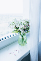 vase with white flowers on the window sill