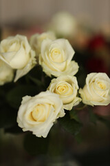 bunch of roses