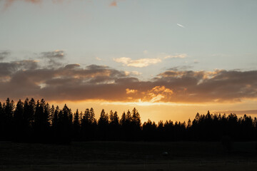 Silhouettes of trees and sunset at Sumava national park