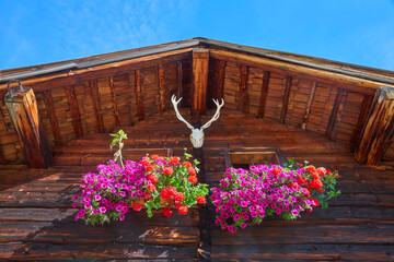 Fototapety na wymiar - Fototapeta24.pl