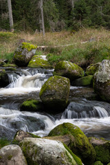 Stream in the middle of forest, CZ: Hamersky potok, Sumava national park, Czech republic