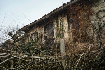 Maison en ruine à rénover