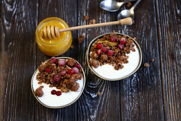 Selective focus. Chocolate crunches with yogurt, cranberries and honey. Healthy breakfast or dessert. Keto diet.