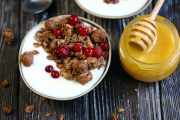 Selective focus. Chocolate crunches with yogurt, cranberries and honey. Healthy breakfast or dessert. Keto diet.