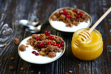 Selective focus. Chocolate crunches with yogurt, cranberries and honey. Healthy breakfast or dessert. Keto diet.