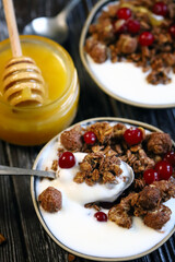 Selective focus. Chocolate crunches with yogurt, cranberries and honey. Healthy breakfast or dessert. Keto diet.