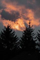 Evening sky after sunset and tree silhouettes, Sumava national park