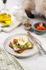 Ragdoll cat smelling on trendy lifestyle sandwich: protein bread slice with cream cheese, mashed avocado, cherry tomatoes and poached egg on white scandi plate, light setting