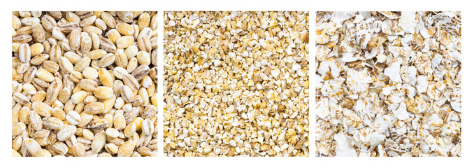 food background - various barley groats close up