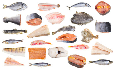 set of various frozen fishes and steaks isolated