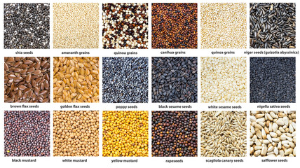 background - various grains with names close up