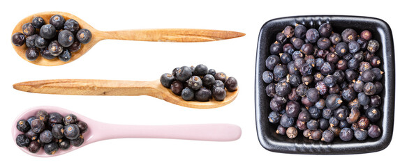 set of various dried juniper berries isolated