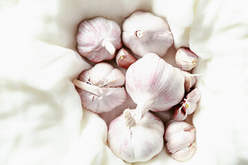 Bulbs of garlic and cloves of garlic on a background of gauze.