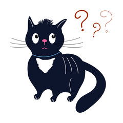 Surprised black cat with a white spot on his chest, big eyes and question marks on the isolated background.