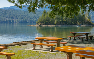 Picnic site in summer time. Lake shore bench landscape view