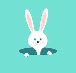 Easter rabbit. easter Bunny, isolated on blue background.