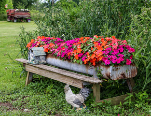 An old chicken feeder filled with colorful impatiens and decorative rural ornaments and an Amish farm wagon sits in the background.  - obrazy, fototapety, plakaty