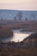 Fototapeta premium misty morning on the river