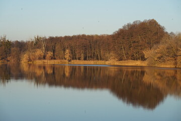 autumn trees reflected in water