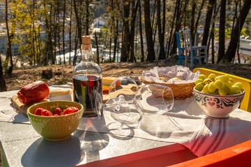 Traditional picnic with Portuguese products in the middle of a pine forest, Portugal