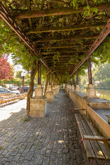 Fototapeta premium Park garden, located in Termas de São Pedro do Sul, Portugal