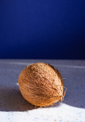 Single coconut fruit close up against black background with copy space.Exotic fruit coconut close up. Minimal summer concept. Tropical fruit composition.