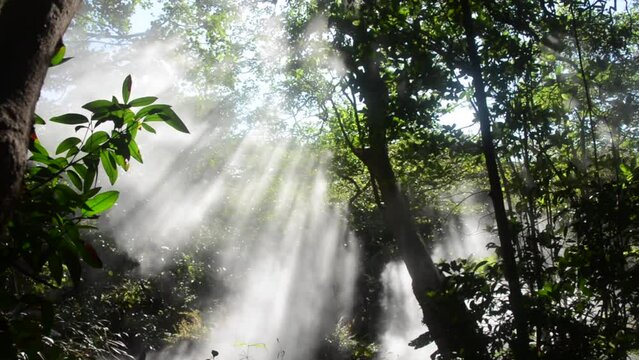 Video of sunlight and smoke from boiling thermal springs, Rincon de La Vieja National Park, Guanacaste, Costa Rica