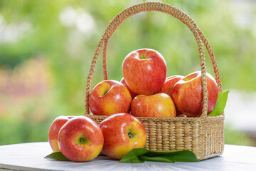 Fresh Red apple in basket over blurred greenery background, US. Red Envy apple in wooden basket on...