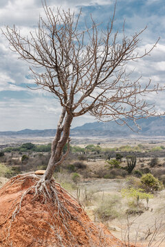 Desierto de la tatacoa  villavieja departamento del huila Colombia