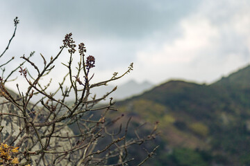 montanhas itapaje