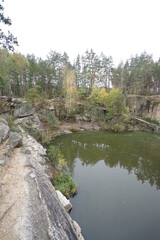Fototapeta premium river in the woods