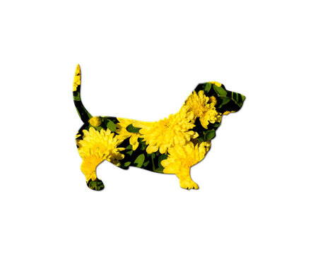 Dog Dachshund Pet Sunflowers Icon Logo Symbol illustration